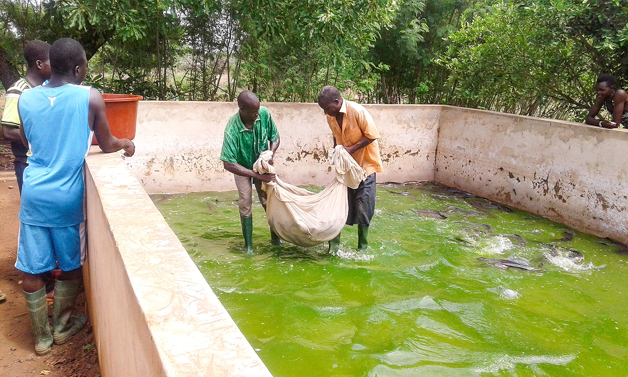 Projet Assainissement Communautaire