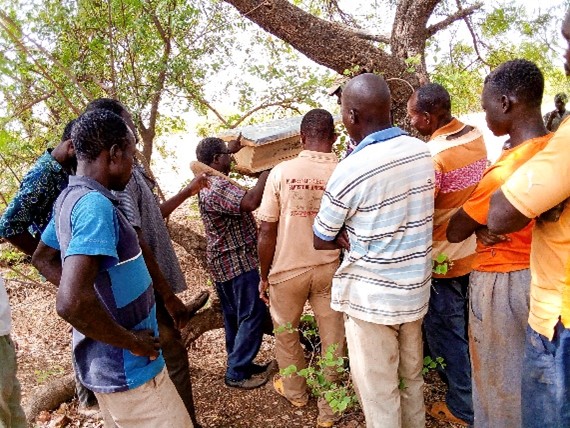 Appui aux Groupements Villageois de Godyr