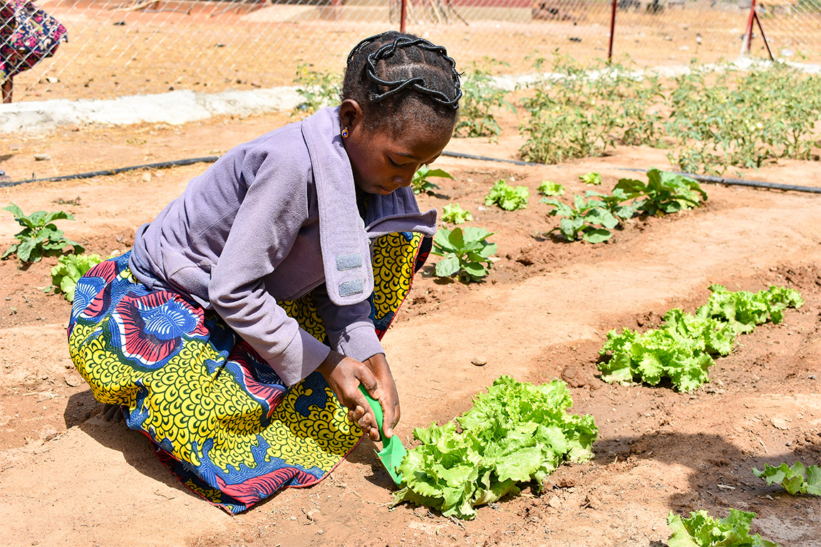 Une ÉCOLE pour la TERRE — Phase 1
