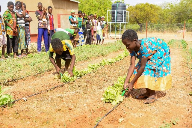 Projet Pilote ECOTERRE