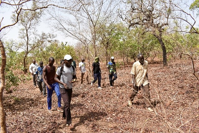 Conservation de la Forêt de Oury