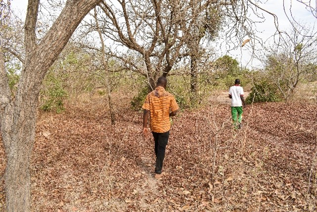 Conservation de la Forêt de Toroba